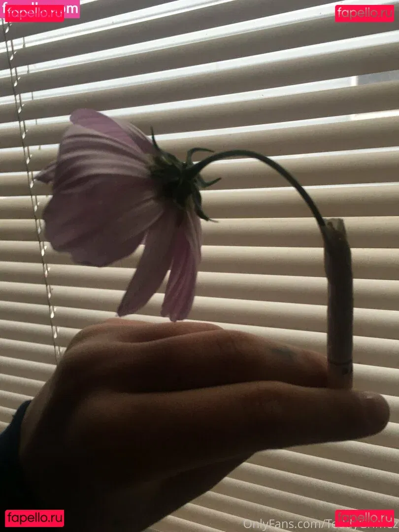 lewdology Onlyfans Photo Gallery 