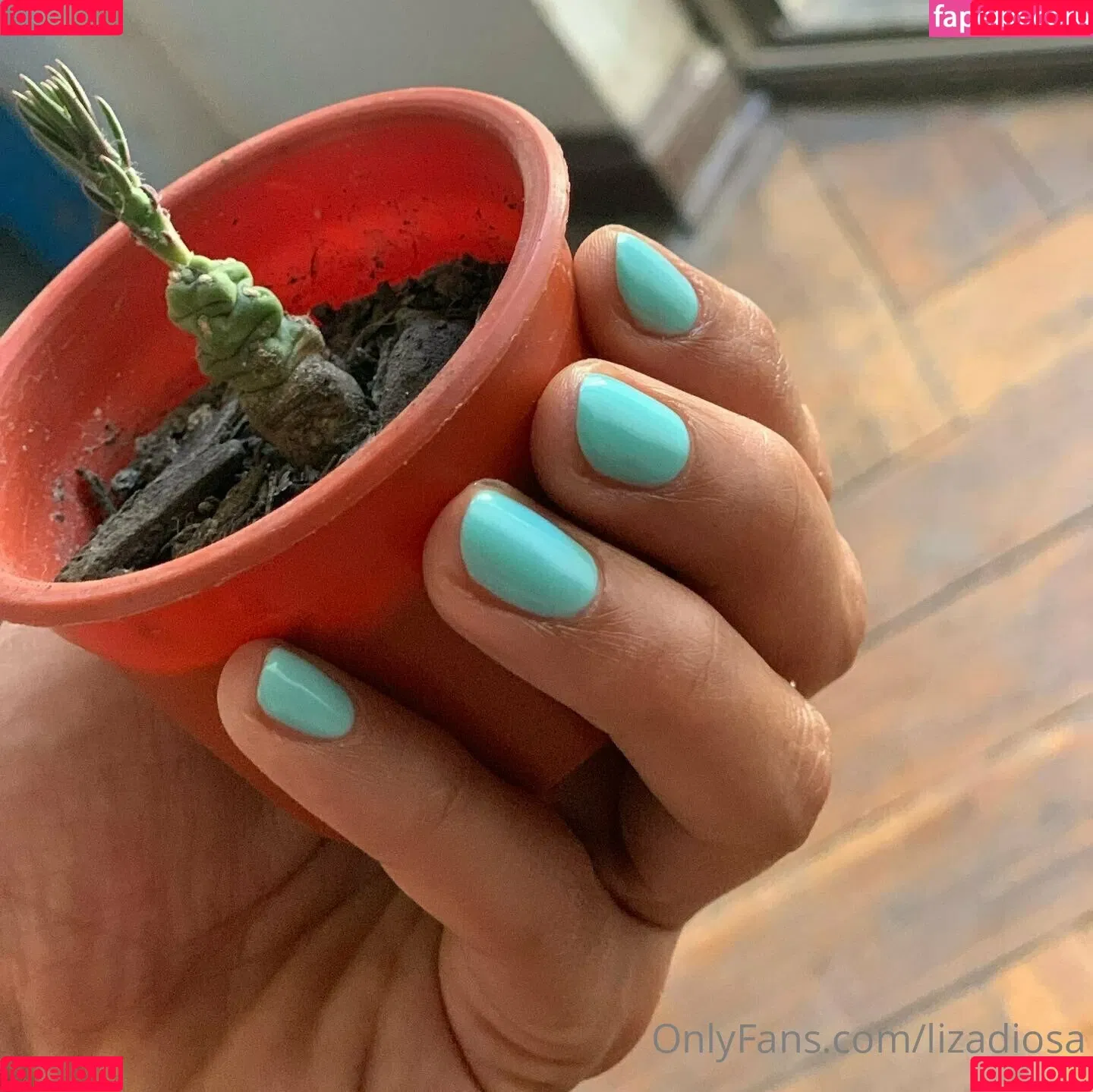 lizadiosa Onlyfans Photo Gallery 