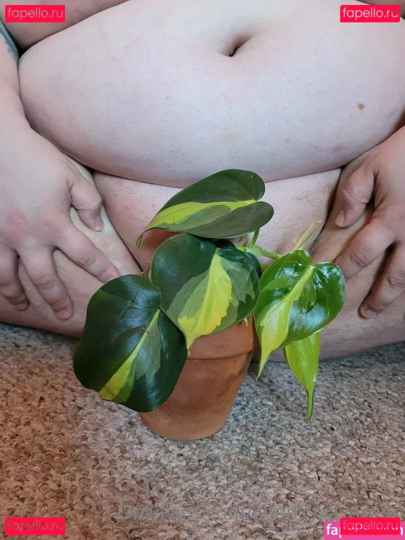 chunkyxavocado Onlyfans Photo Gallery 