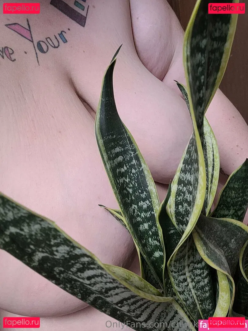 chunkyxavocado Onlyfans Photo Gallery 