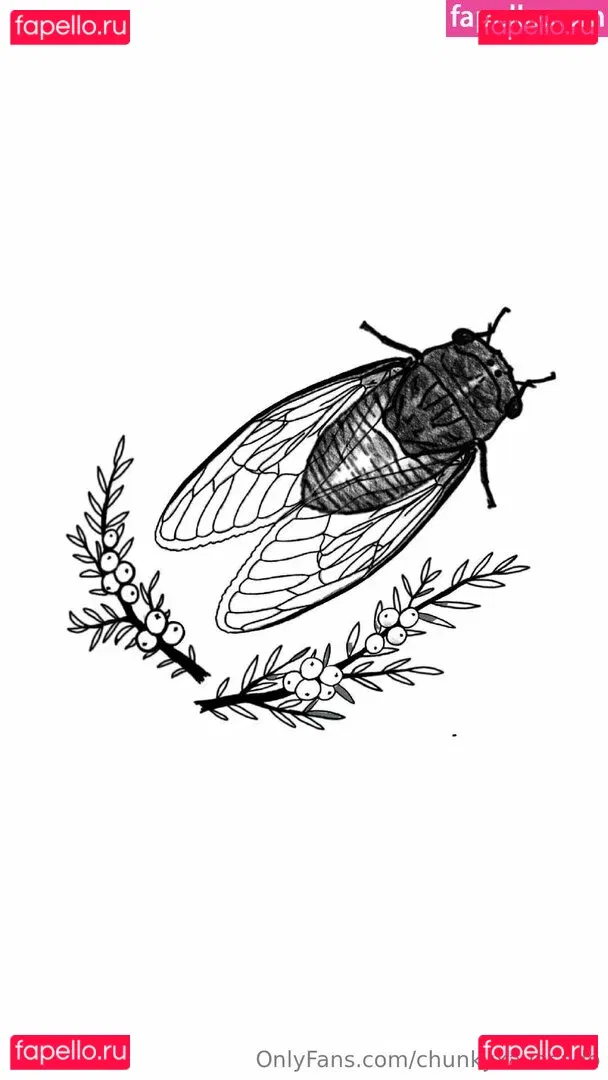 chunkyxavocado Onlyfans Photo Gallery 