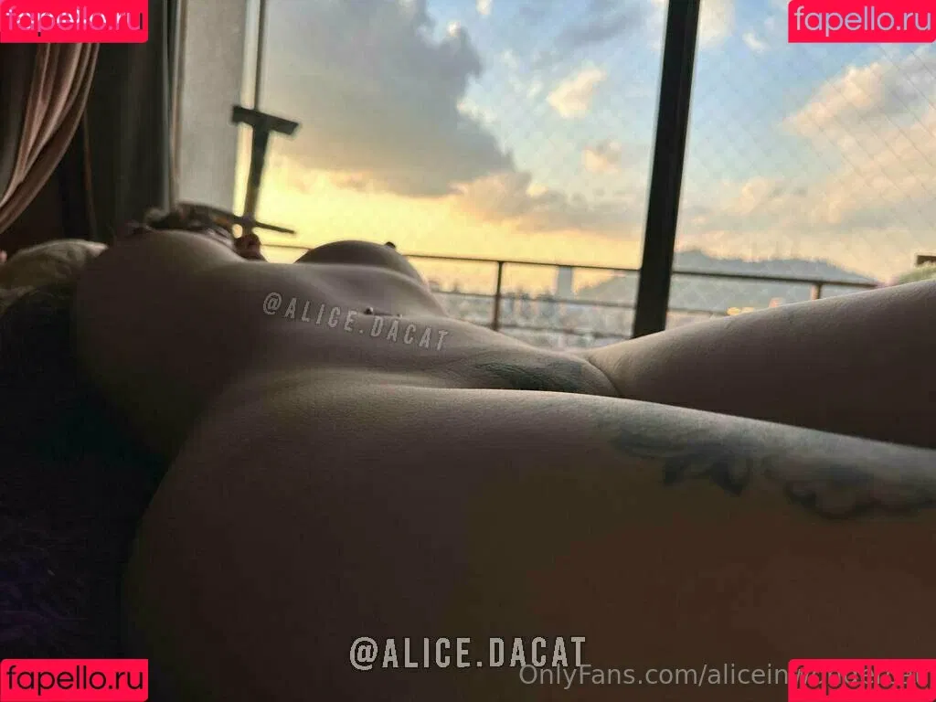 Aliceinwondercat Onlyfans Photo Gallery 