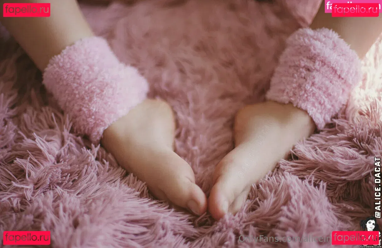 Aliceinwondercat Onlyfans Photo Gallery 