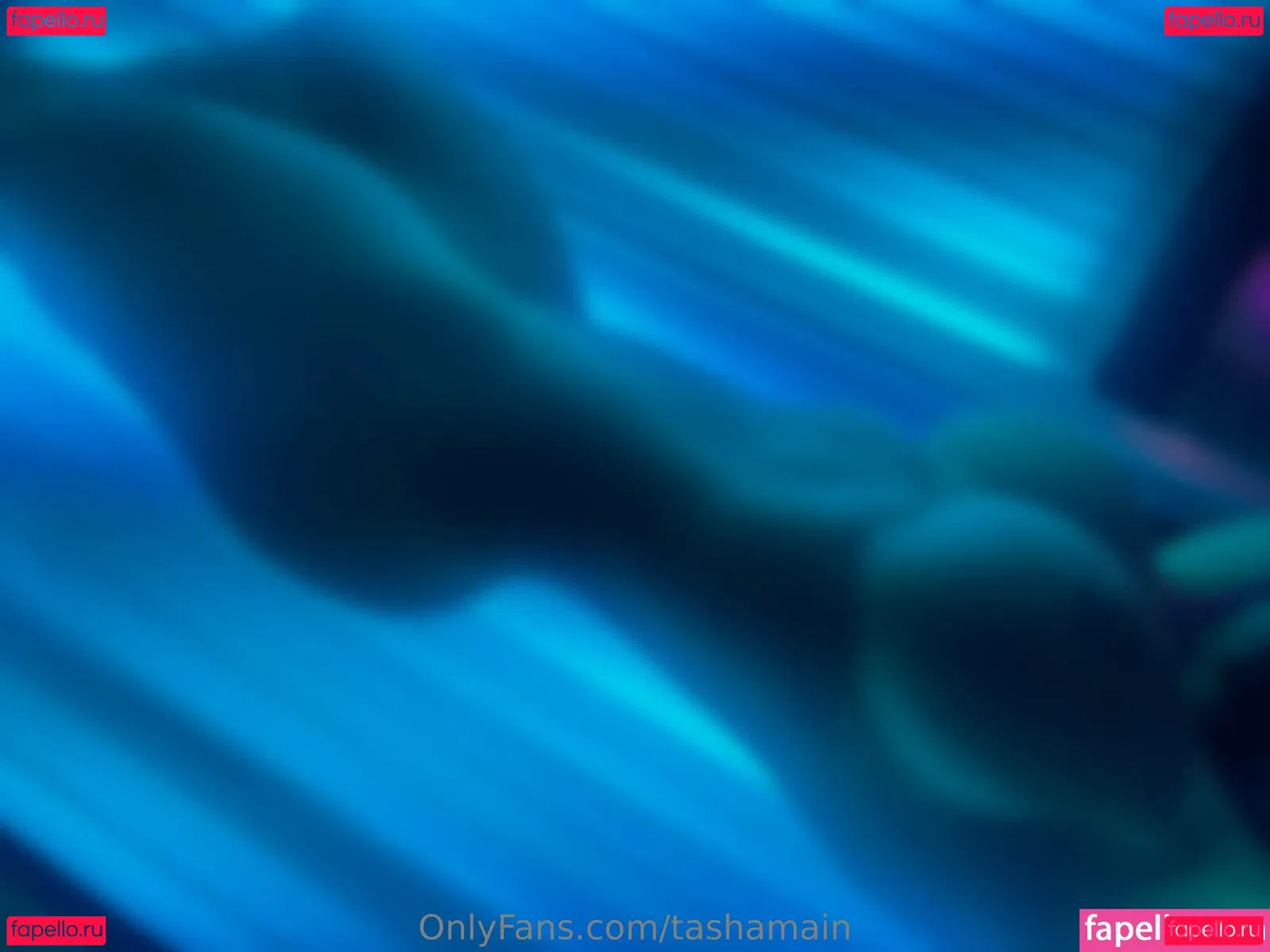 Tashamain Onlyfans Photo Gallery 