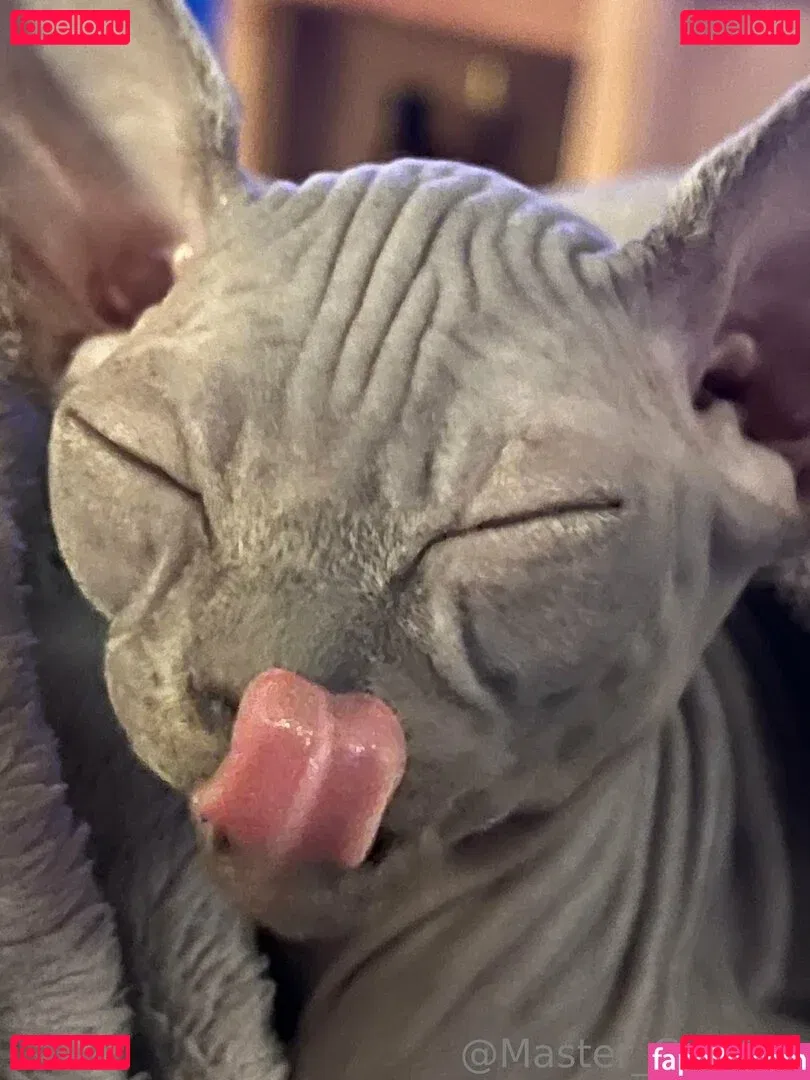 steeletigerlily Onlyfans Photo Gallery 