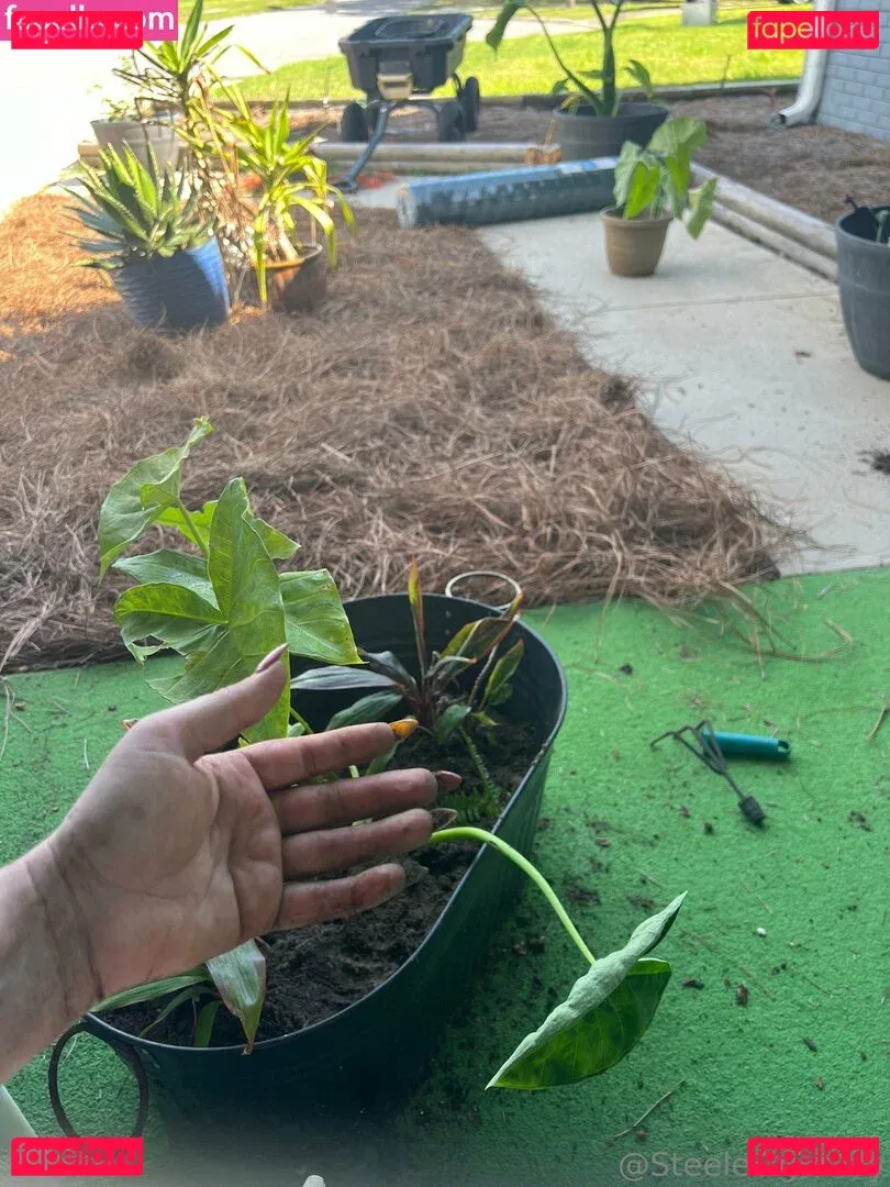 steeletigerlily Onlyfans Photo Gallery 