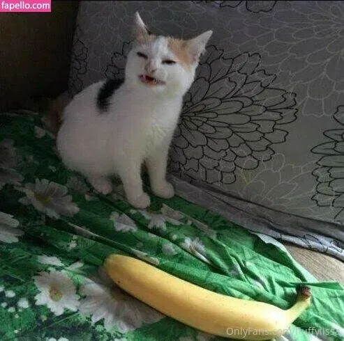 Fluffylissa Onlyfans Photo Gallery 