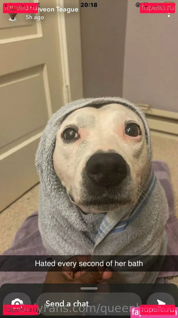 queenbracee Onlyfans Photo Gallery 