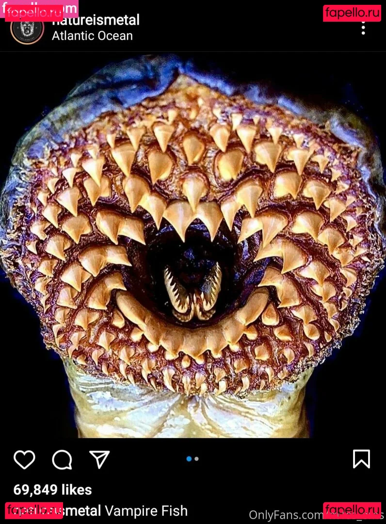 m1ss_ems Onlyfans Photo Gallery 