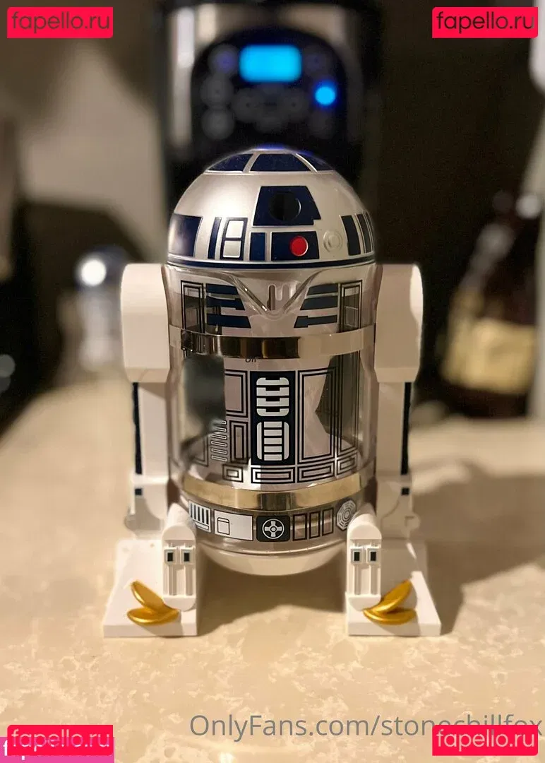 stonechillfox Onlyfans Photo Gallery 