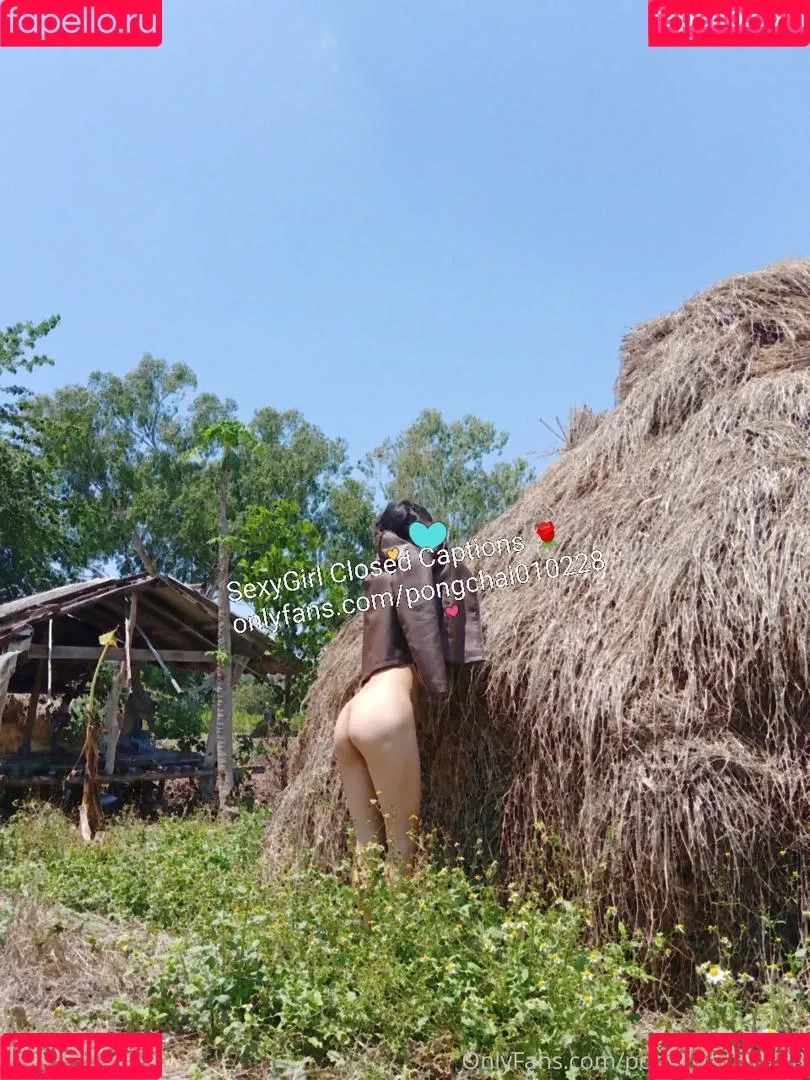 pongchai010228 Onlyfans Photo Gallery 