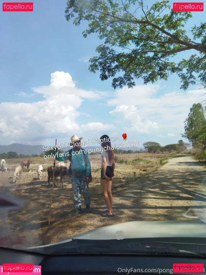 pongchai010228 Onlyfans Photo Gallery 