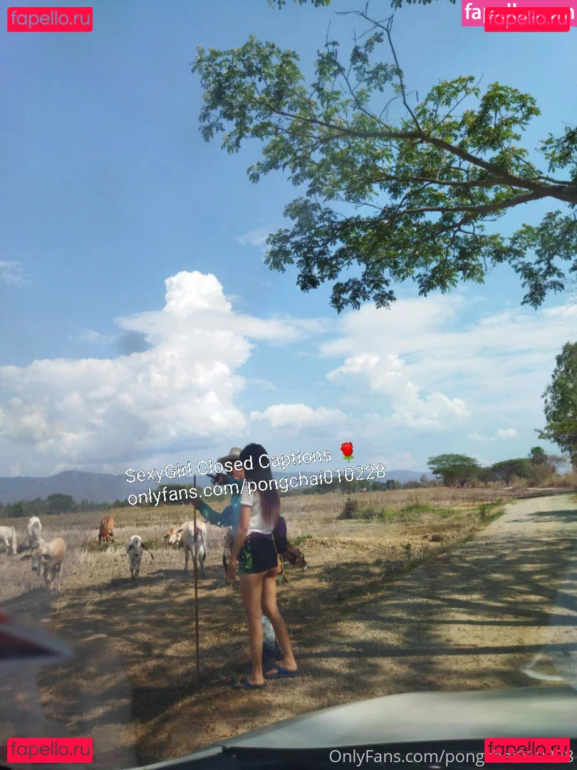 pongchai010228 Onlyfans Photo Gallery 