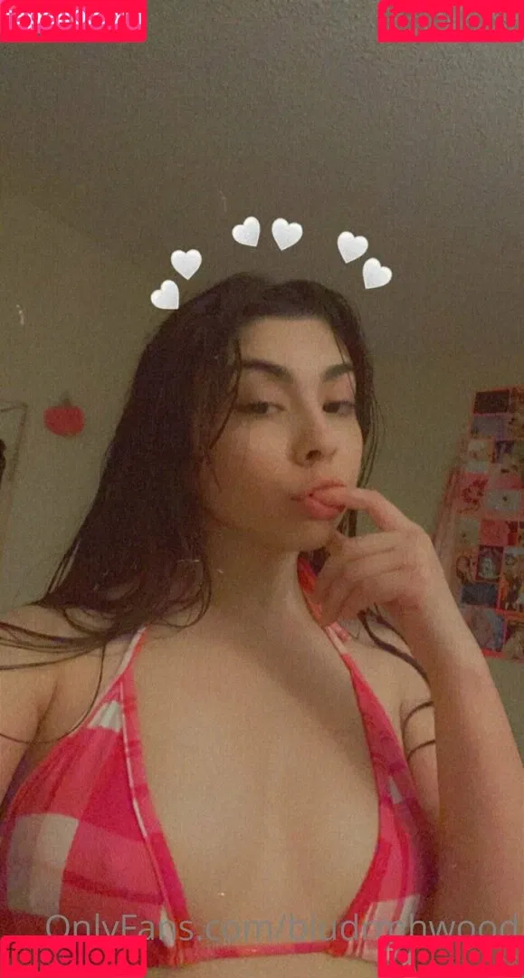 bludrmhwood Onlyfans Photo Gallery 