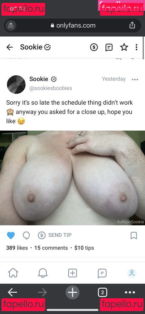 SookieCookiie Nude Onlyfans Photo 30