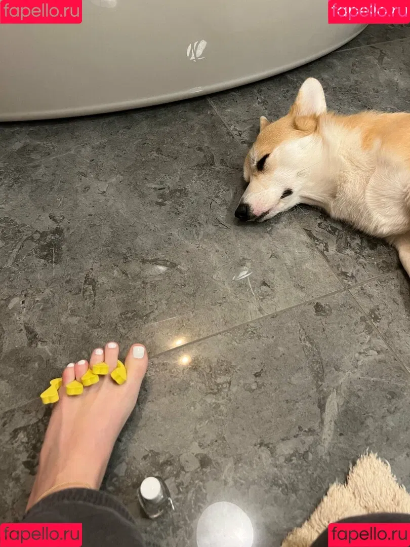 bellas_paws Onlyfans Photo Gallery 