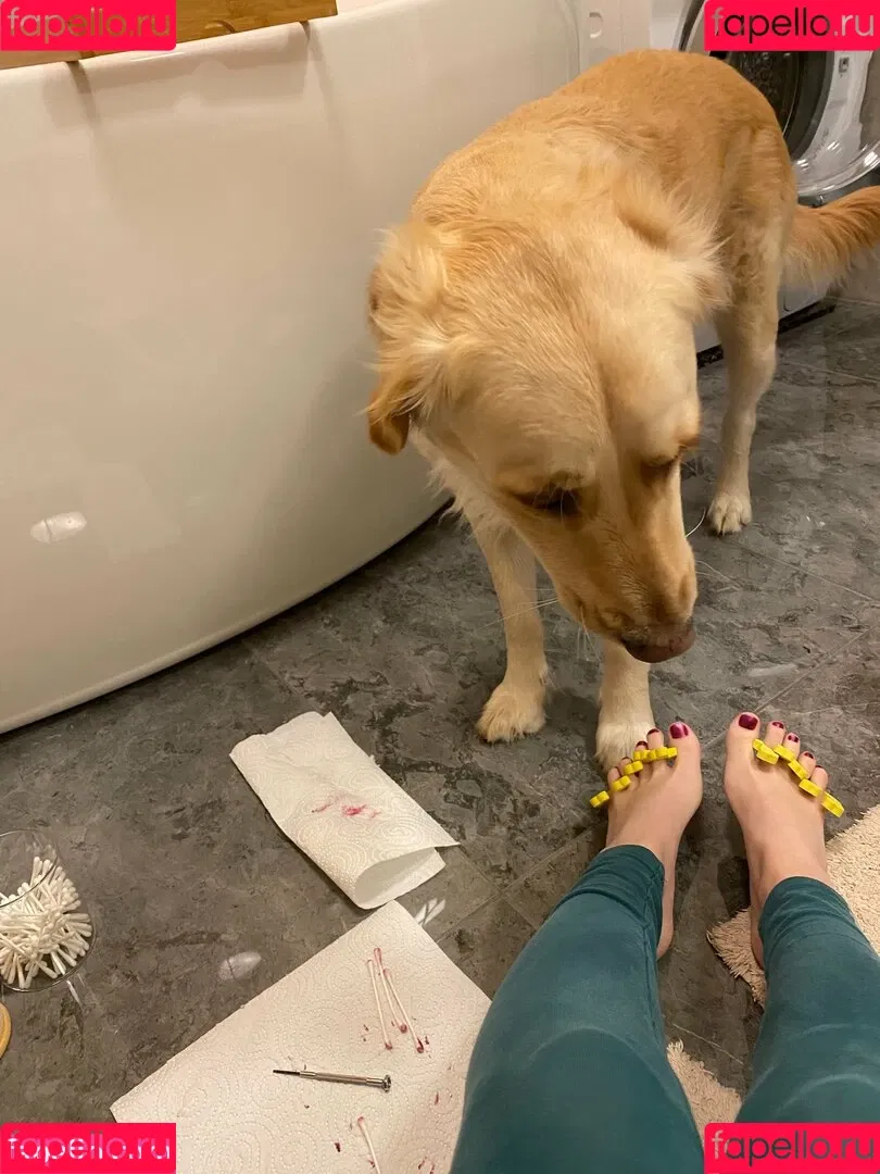 bellas_paws Onlyfans Photo Gallery 