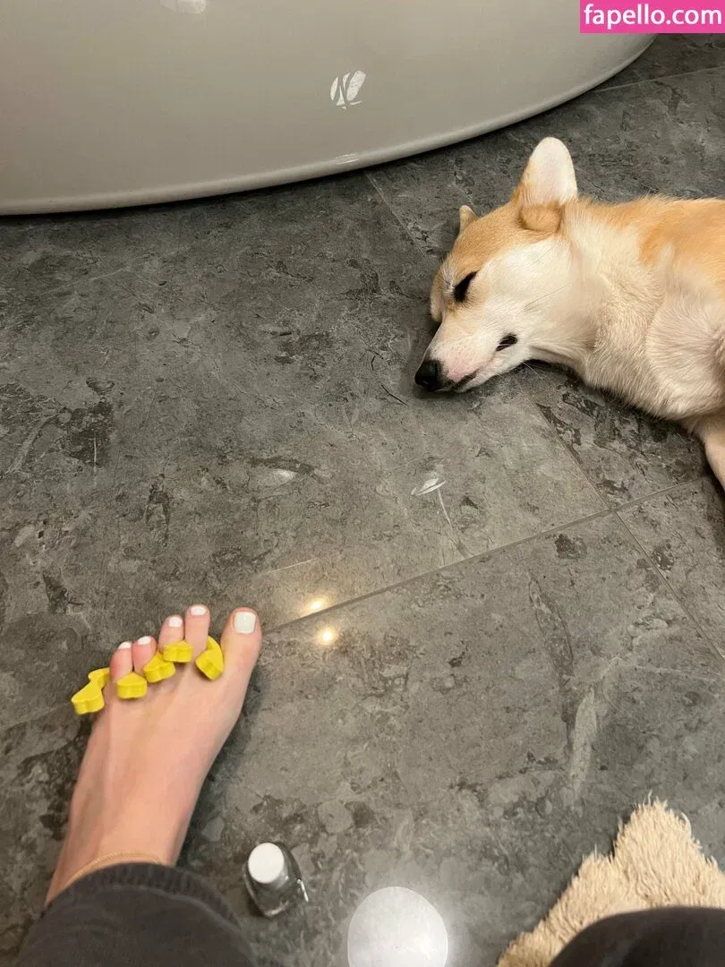 bellas_paws Onlyfans Photo Gallery 