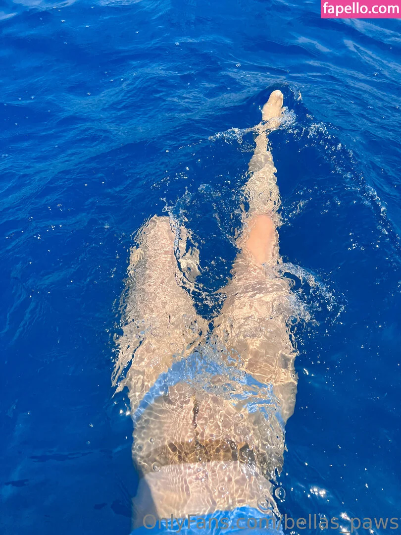 bellas_paws Onlyfans Photo Gallery 