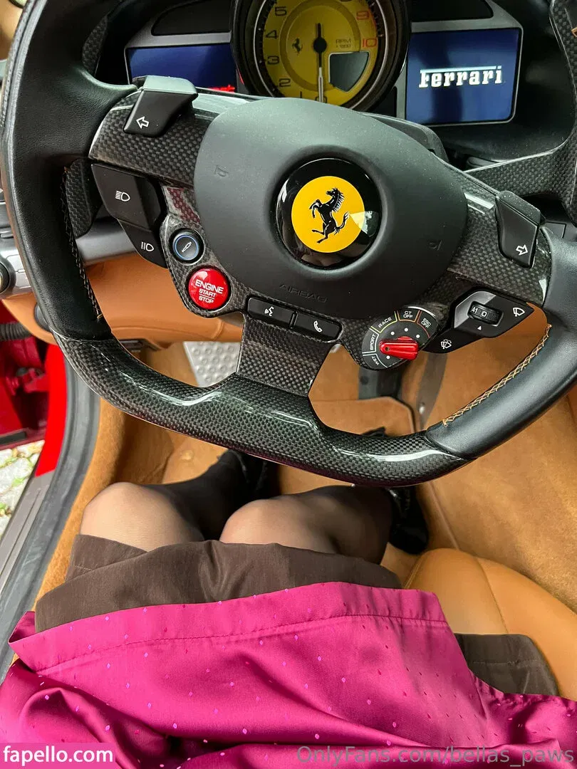 bellas_paws Onlyfans Photo Gallery 