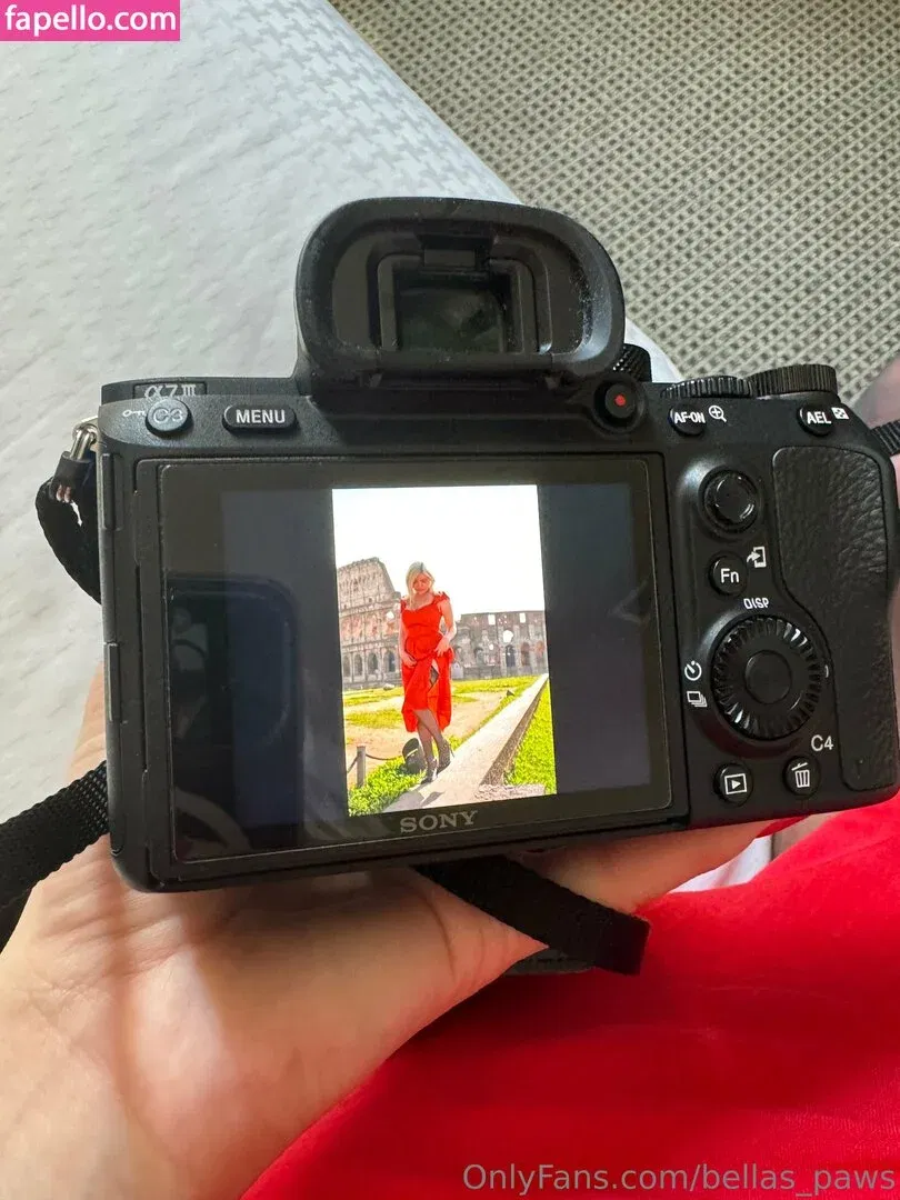 bellas_paws Onlyfans Photo Gallery 