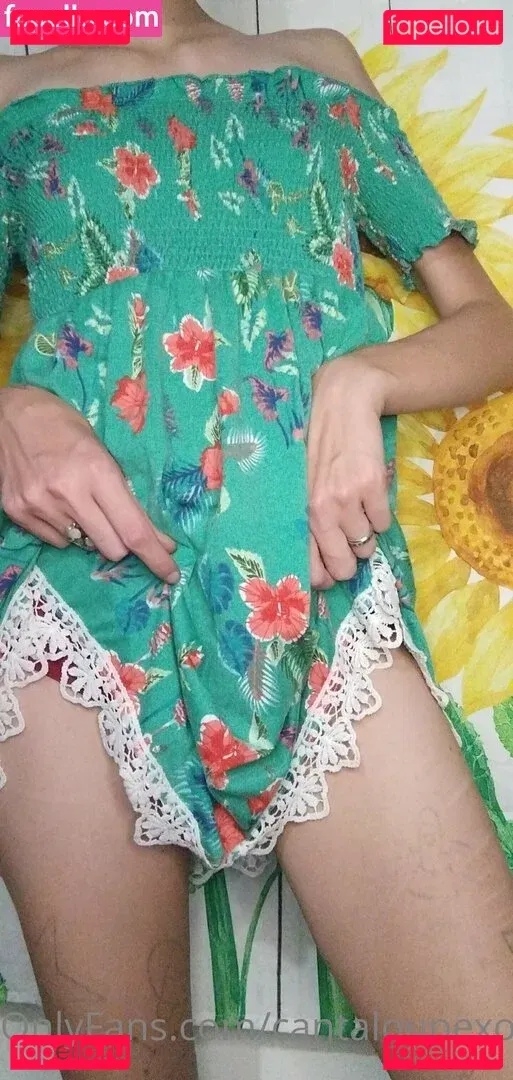 cantaloupexo Onlyfans Photo Gallery 