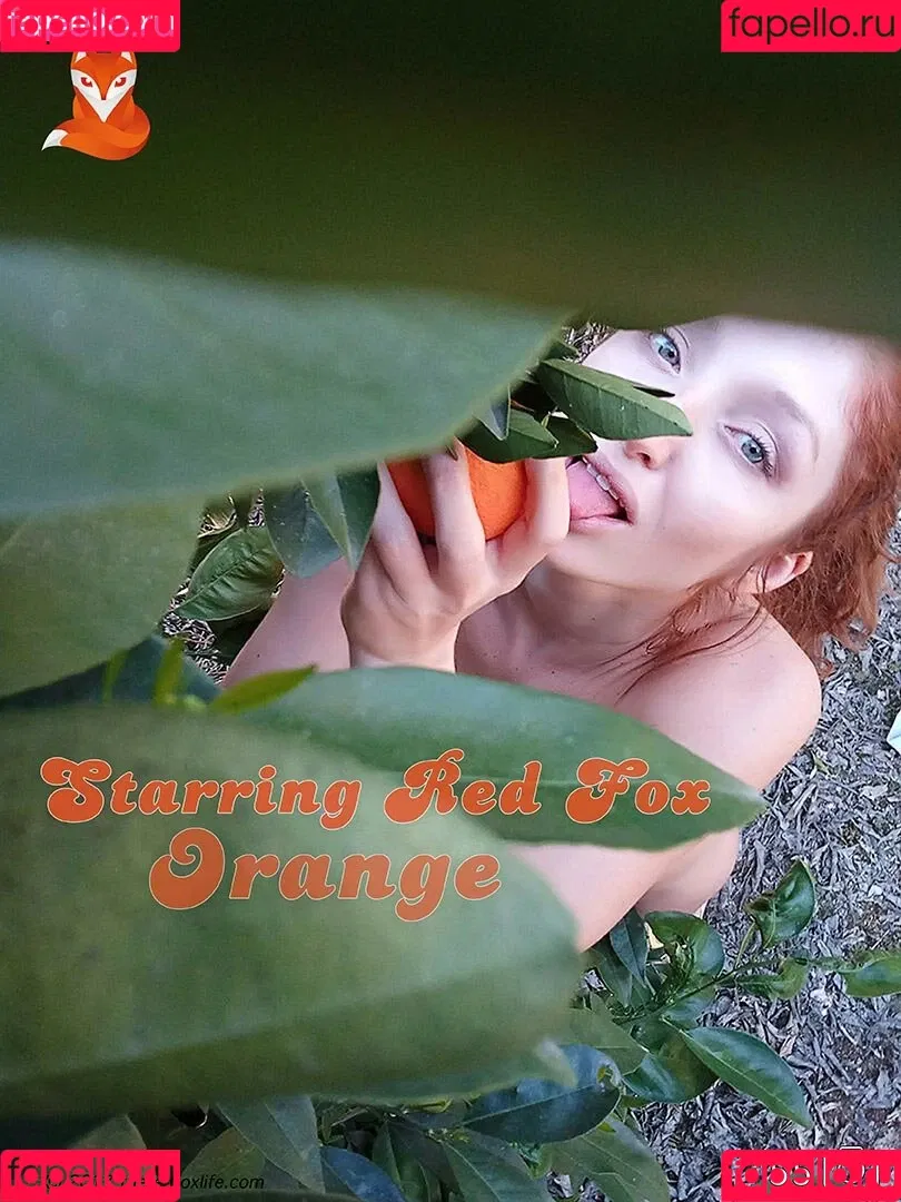 Red Fox Onlyfans Photo Gallery 