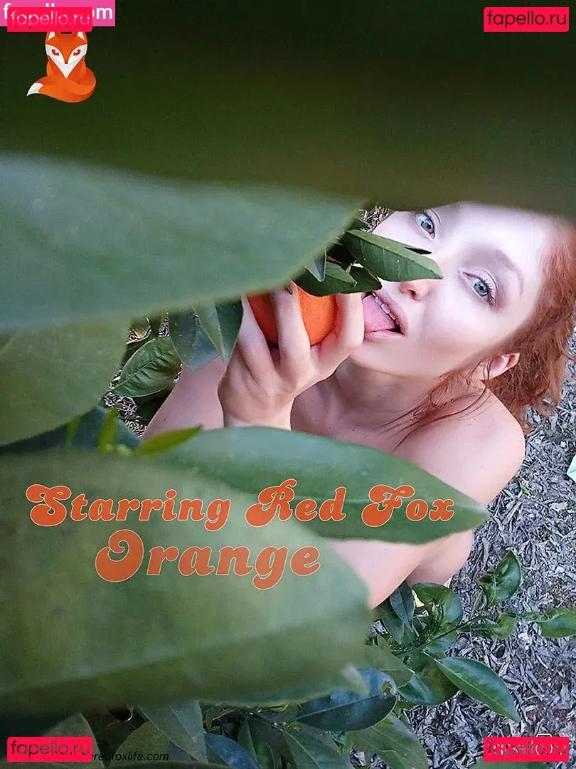 Red Fox Onlyfans Photo Gallery 