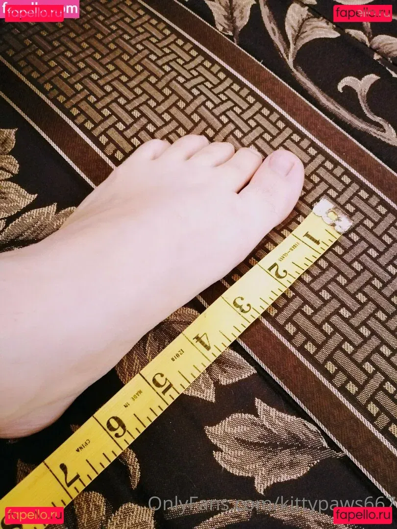kittypaws667 Onlyfans Photo Gallery 