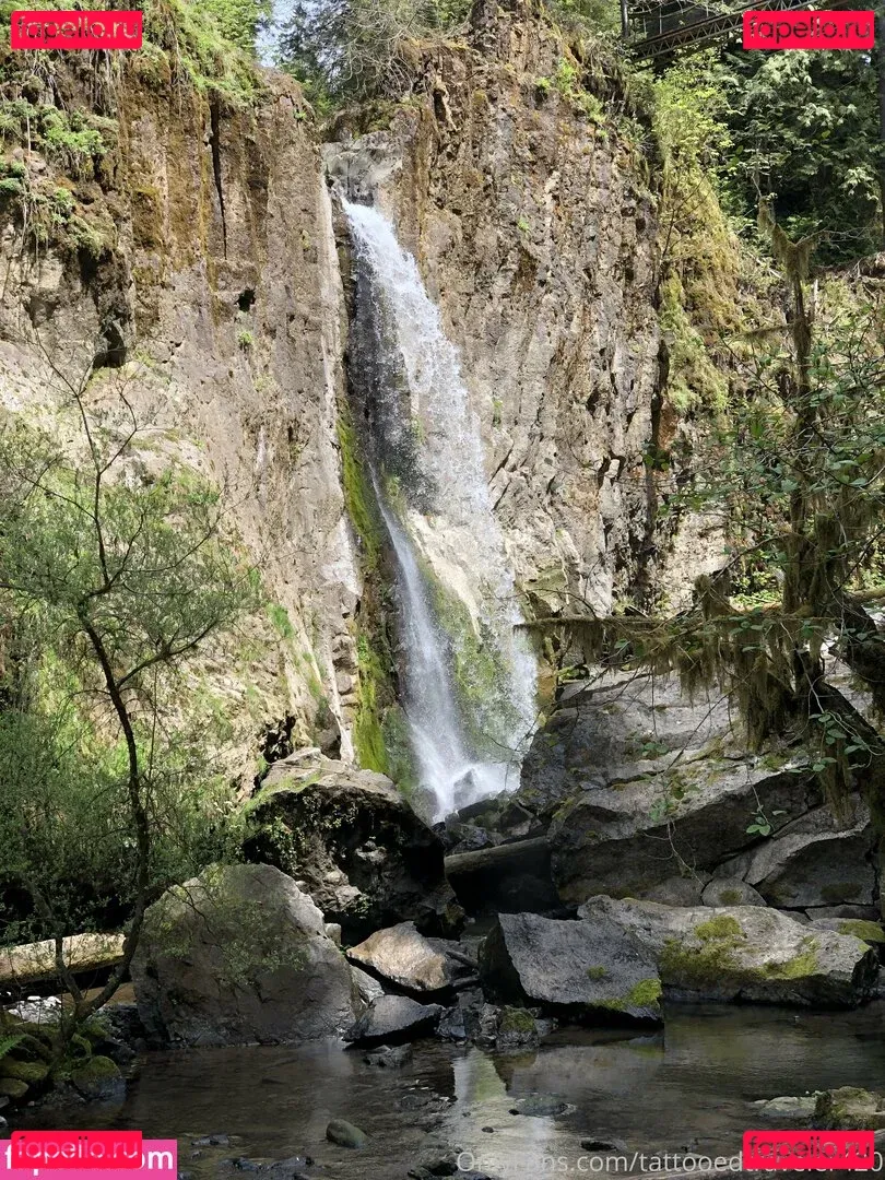 UnicornButtStuff Onlyfans Photo Gallery 