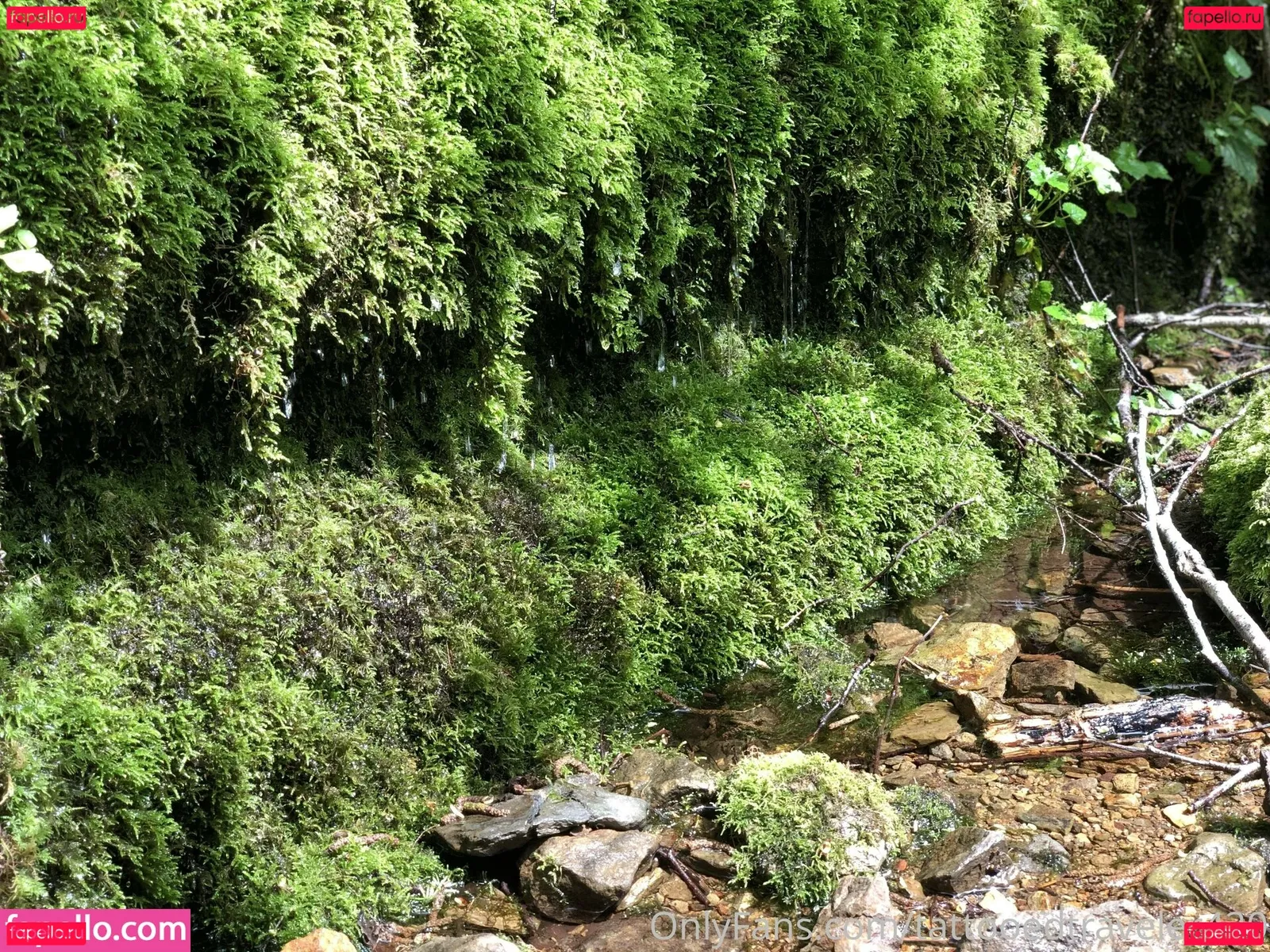 UnicornButtStuff Onlyfans Photo Gallery 