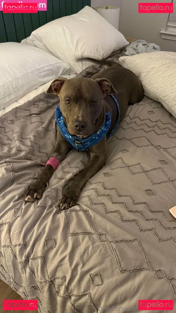 onlykhrist Onlyfans Photo Gallery 