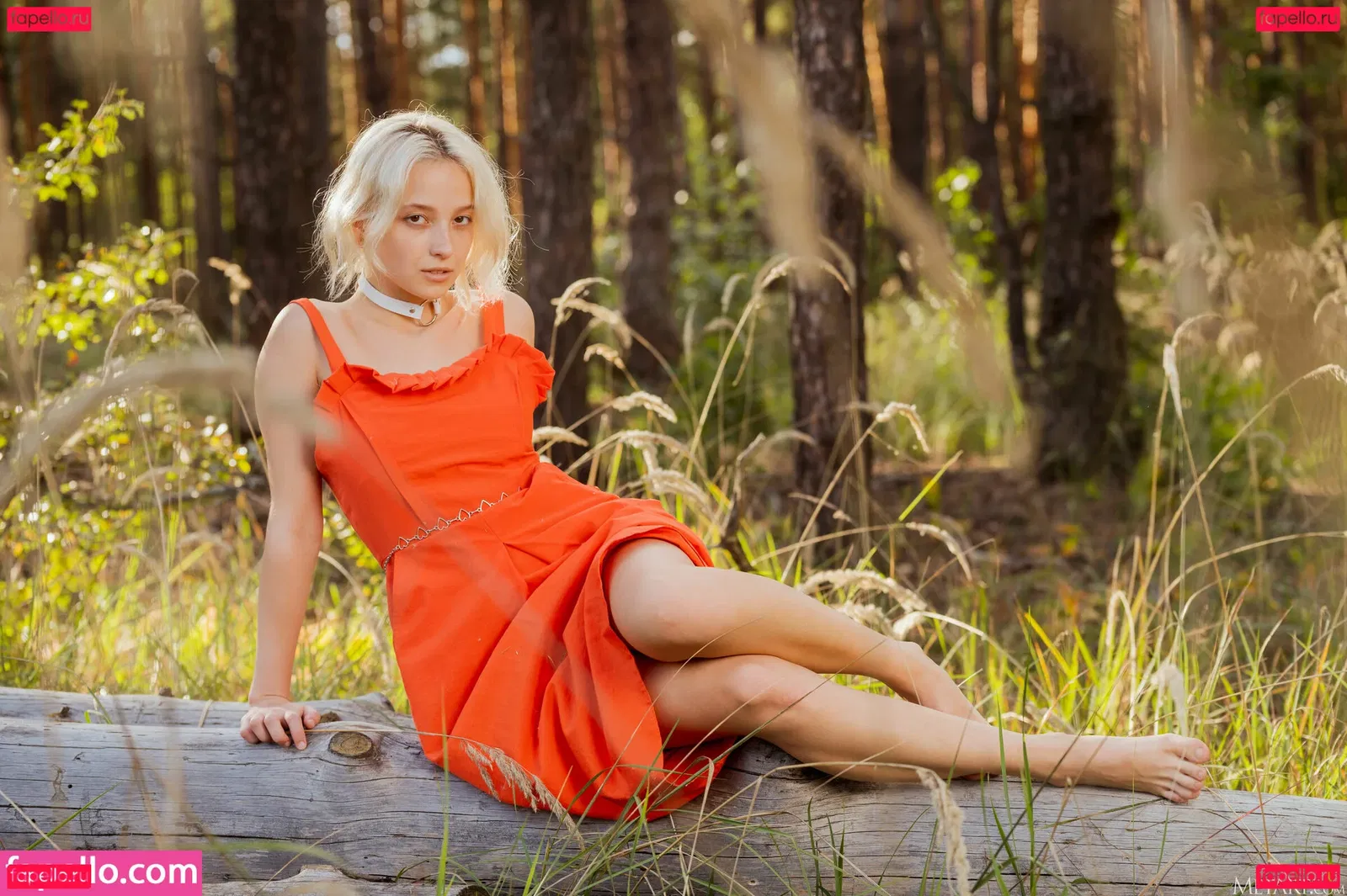 Lily Vei Onlyfans Photo Gallery 