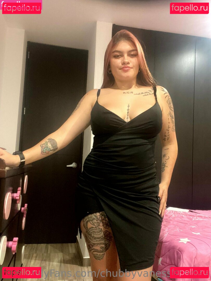 chubbyvanessacortez Nude Onlyfans Photo 26