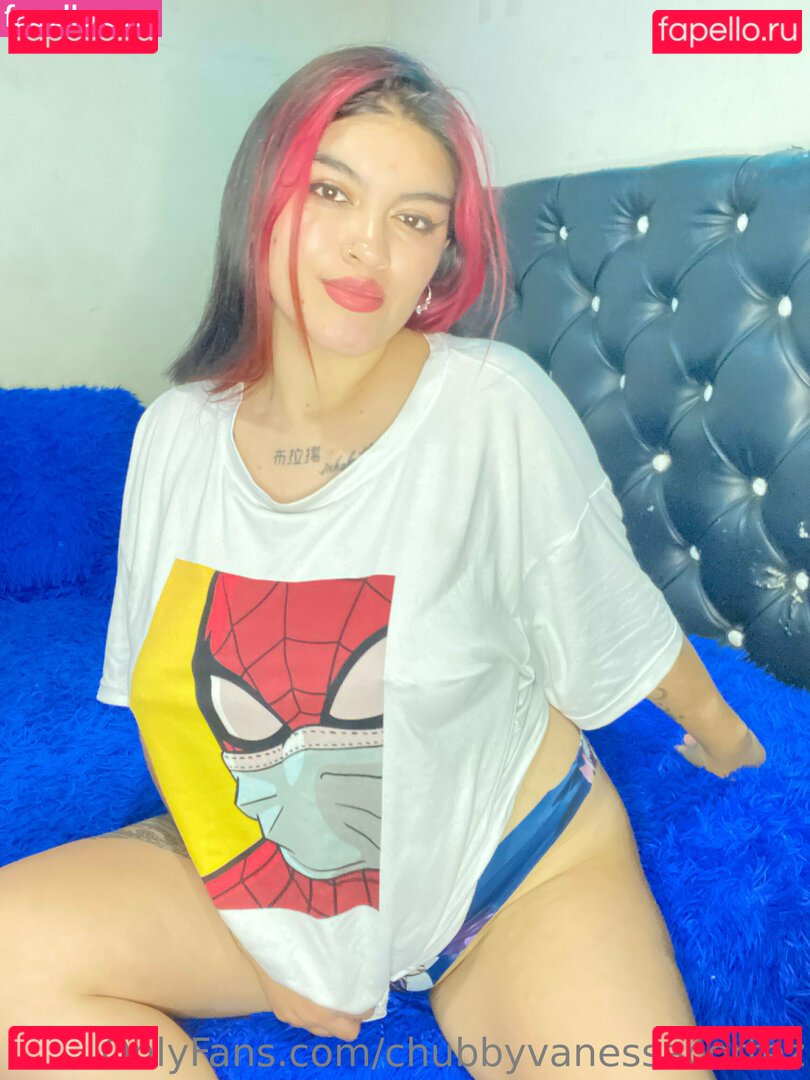 chubbyvanessacortez Nude Onlyfans Photo 25