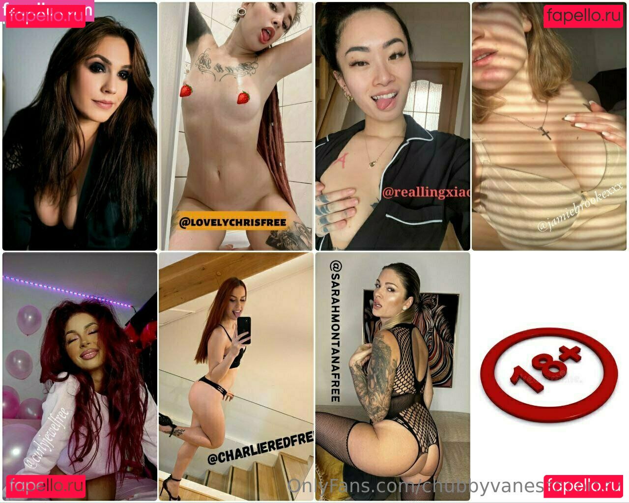 chubbyvanessacortez Nude Onlyfans Photo 9