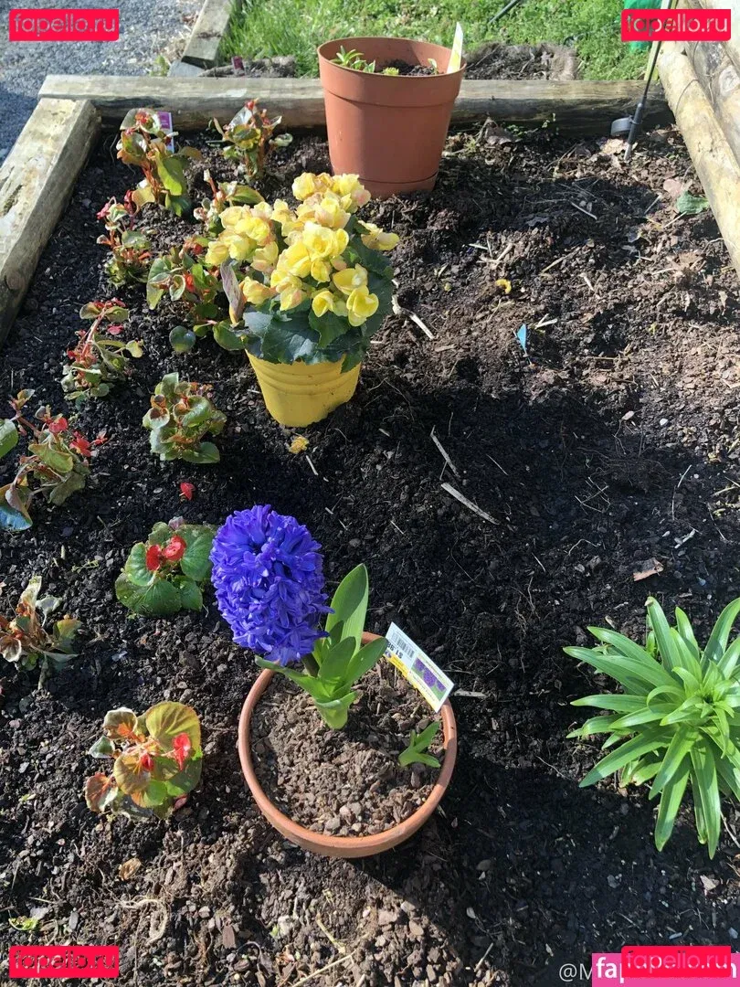 begformolly Onlyfans Photo Gallery 