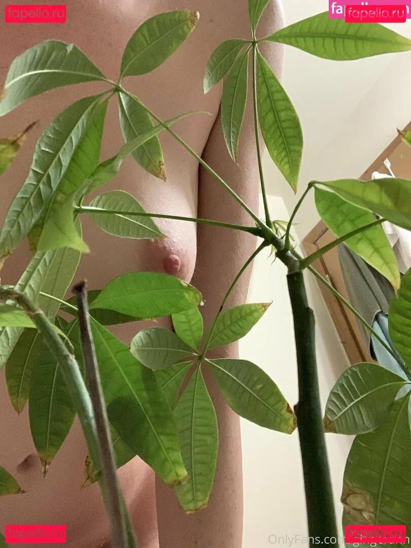 gingerann Onlyfans Photo Gallery 