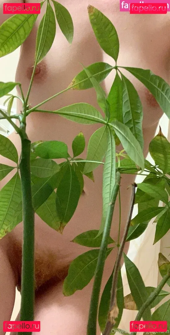 gingerann Onlyfans Photo Gallery 