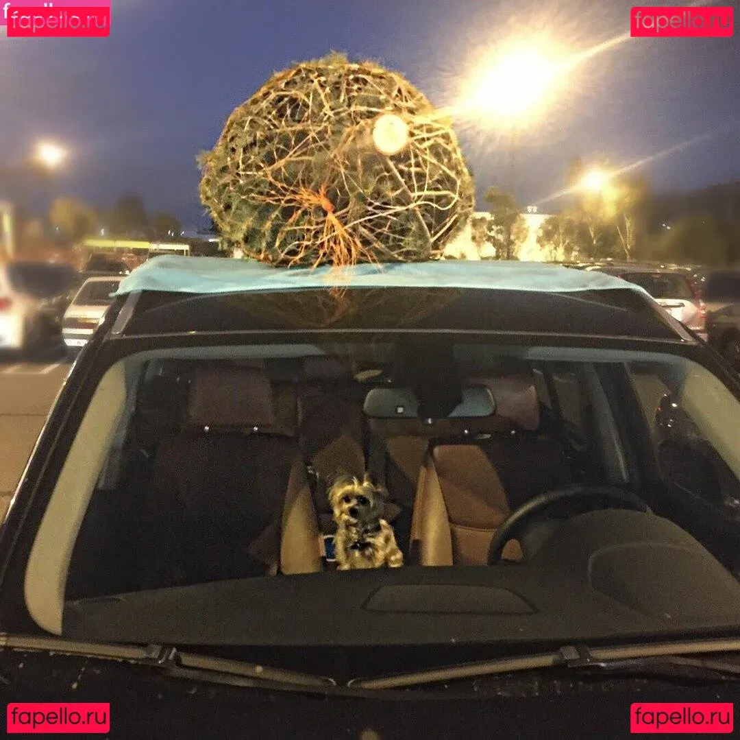 ms.thickerthan Onlyfans Photo Gallery 