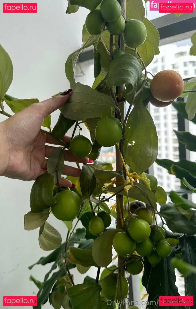 Sharonlee Onlyfans Photo Gallery 