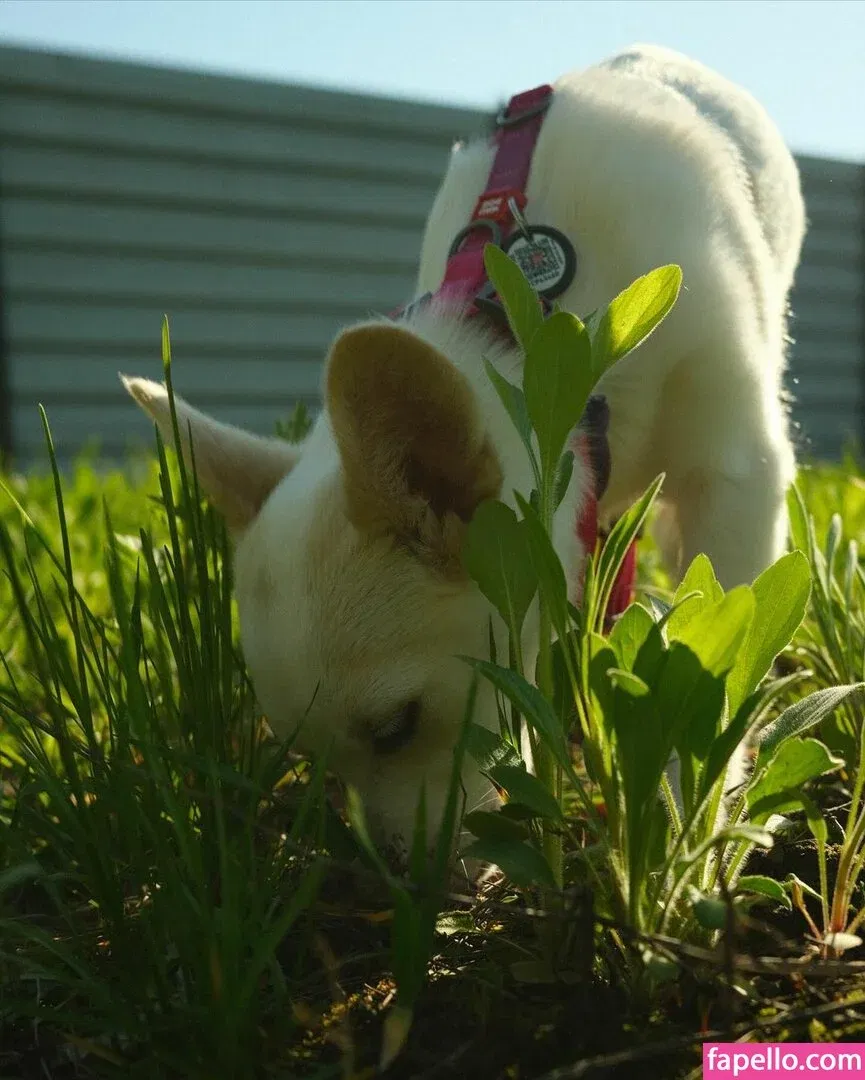 maffiaxxx Onlyfans Photo Gallery 