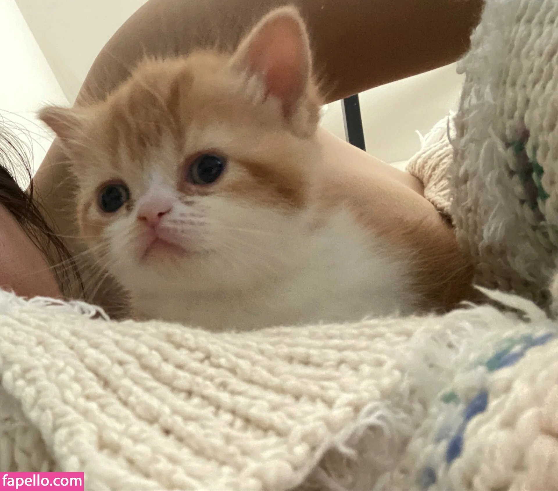 Aria Saki Onlyfans Photo Gallery 