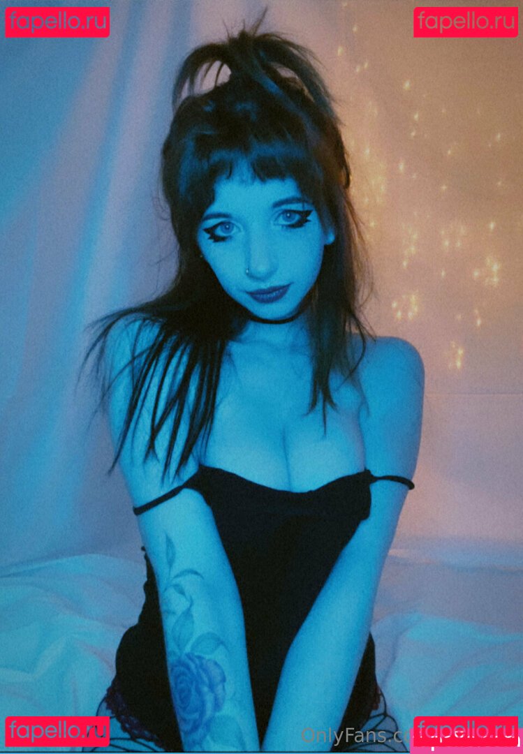 toadalie Photo Gallery
