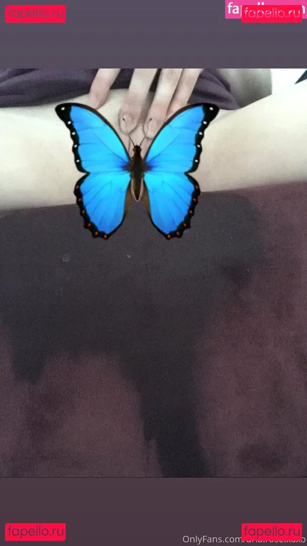 aria.rose.xoxo Onlyfans Photo Gallery 