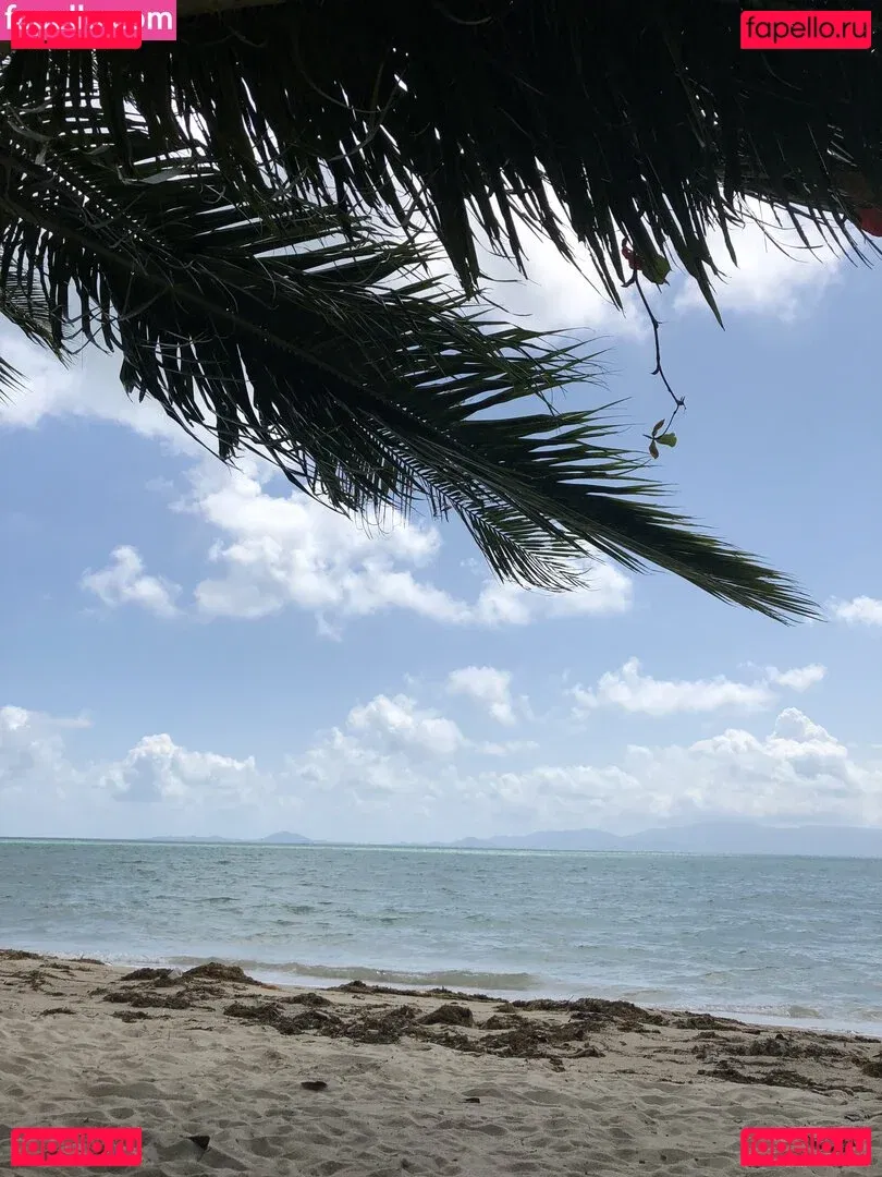 nyaomaruu Onlyfans Photo Gallery 