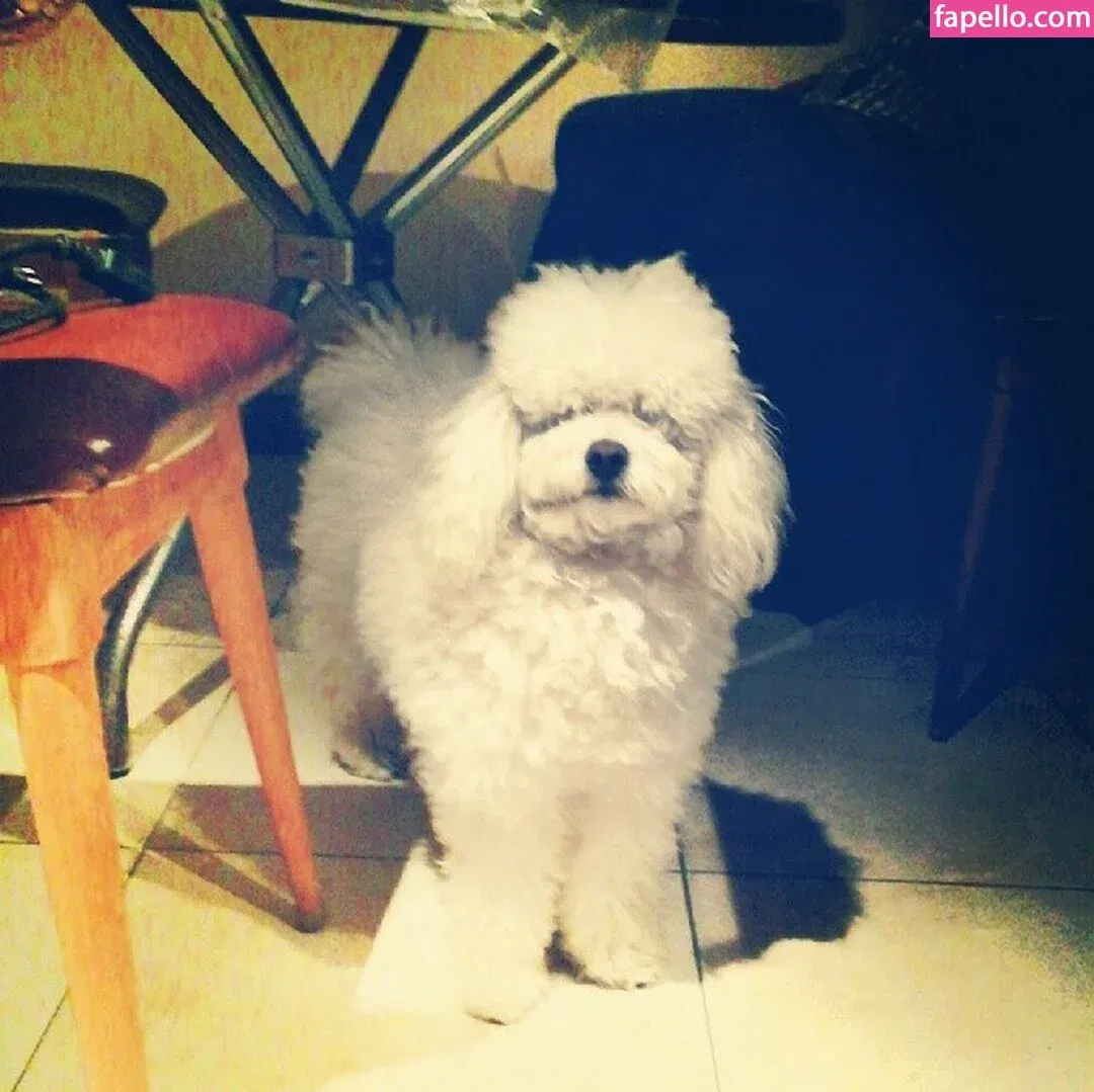 Acronopia Onlyfans Photo Gallery 