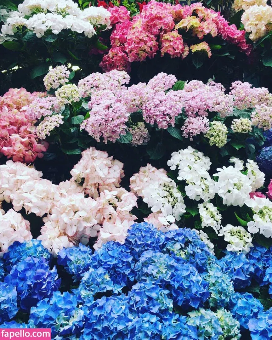 Acronopia Onlyfans Photo Gallery 