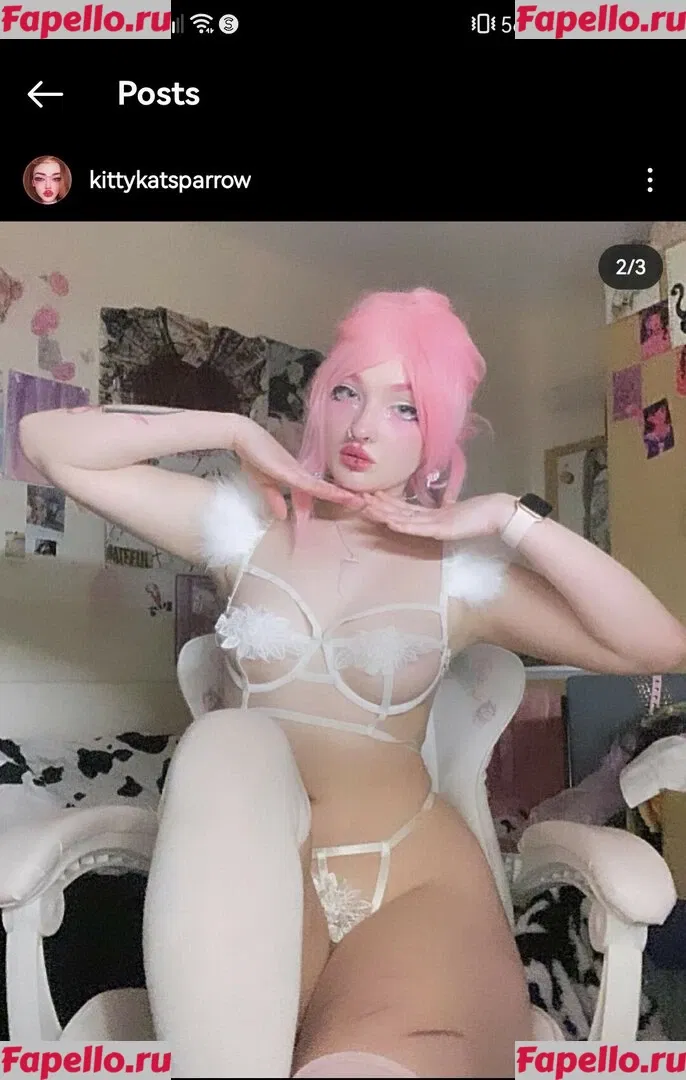 KittyKatSparrow Onlyfans Photo Gallery 