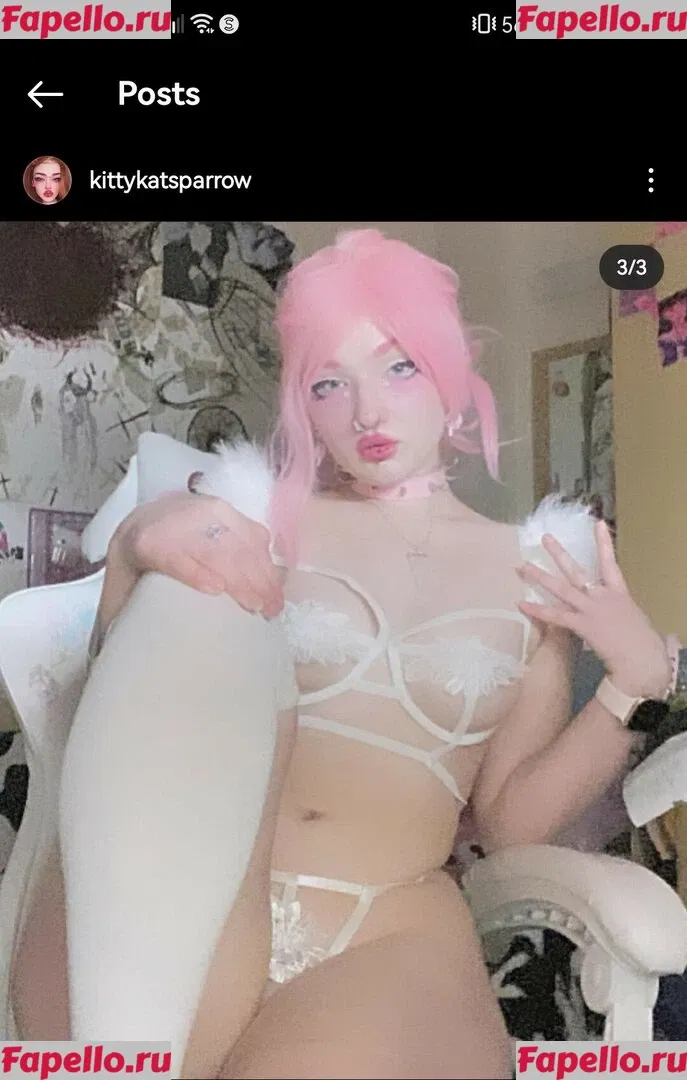 KittyKatSparrow Onlyfans Photo Gallery 